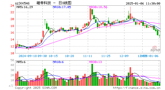 雄帝科技