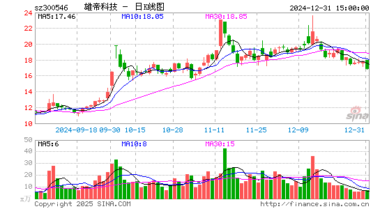 雄帝科技