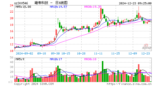 雄帝科技