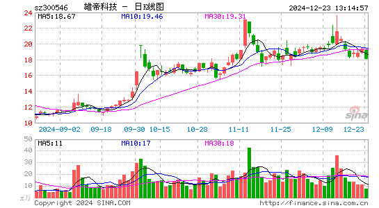 雄帝科技