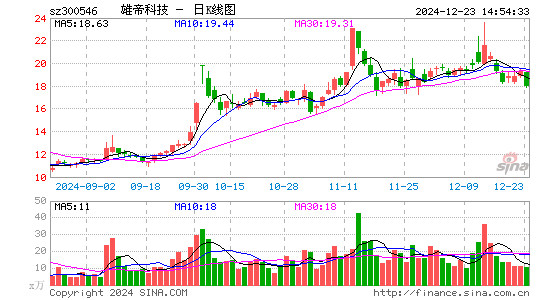 雄帝科技