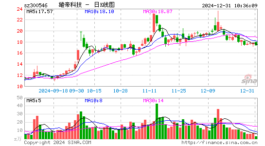 雄帝科技