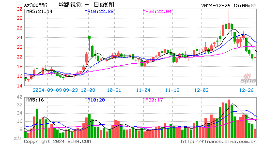 丝路视觉