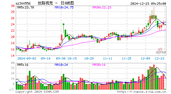 丝路视觉