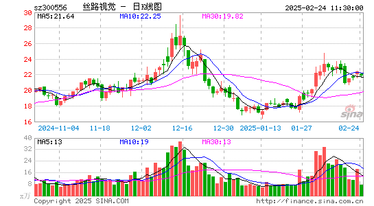 丝路视觉