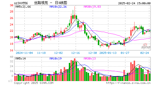 丝路视觉