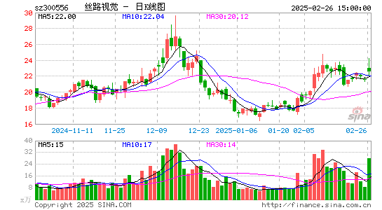 丝路视觉