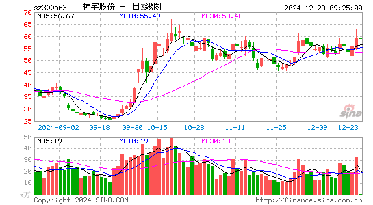 神宇股份