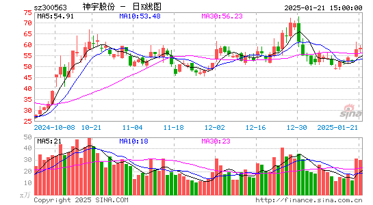 神宇股份