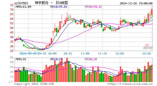 神宇股份