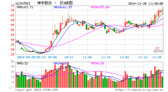 神宇股份