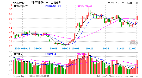 神宇股份