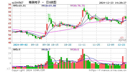 精测电子