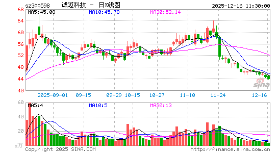 �����Ƽ�