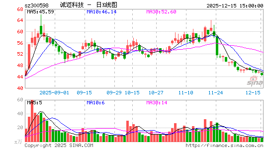 �����Ƽ�