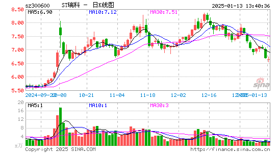 国瑞科技