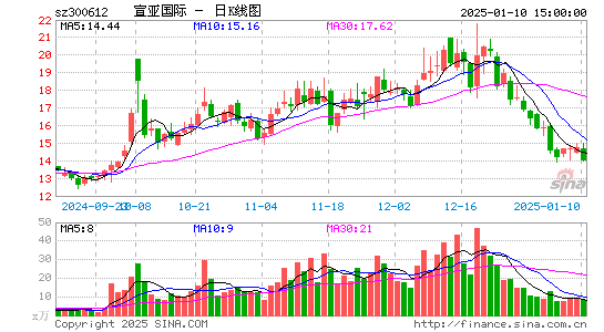 宣亚国际