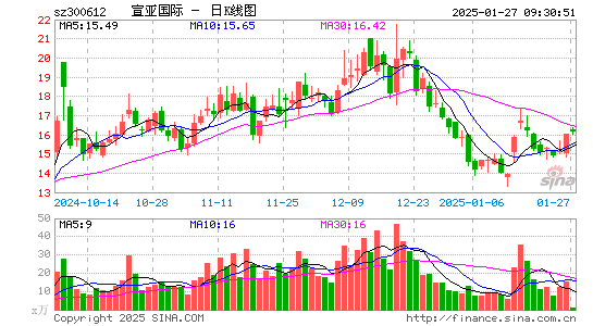 宣亚国际