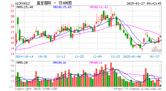 宣亚国际