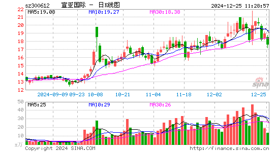 宣亚国际