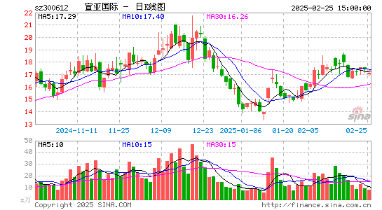 宣亚国际