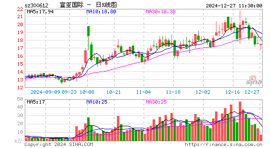 宣亚国际