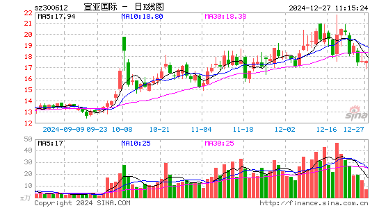 宣亚国际