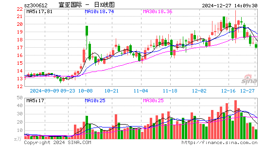 宣亚国际