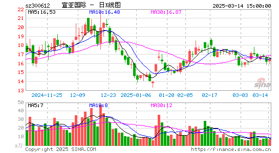 宣亚国际