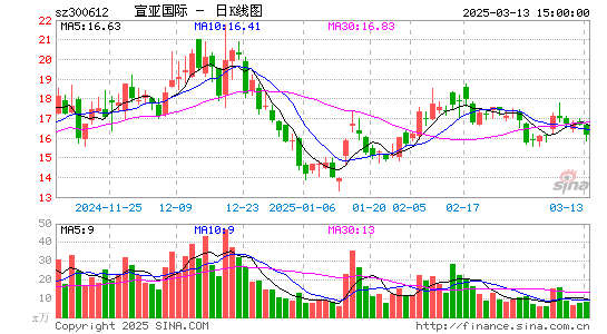 宣亚国际