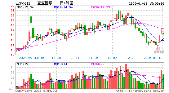 宣亚国际