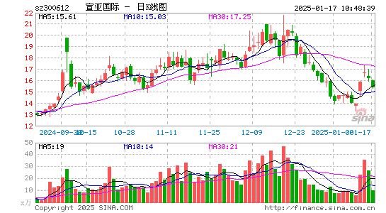 宣亚国际