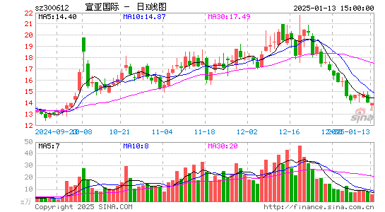 宣亚国际