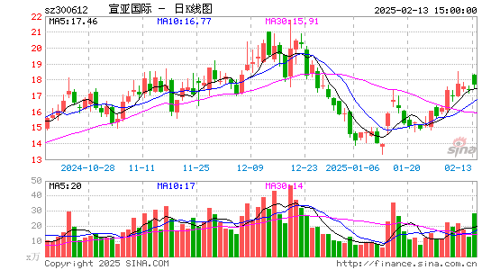 宣亚国际