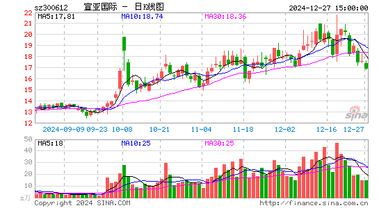 宣亚国际