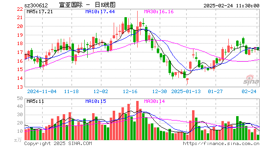 宣亚国际