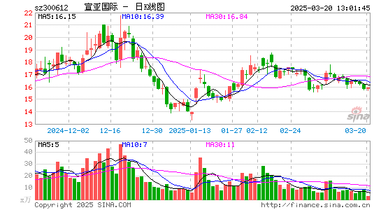 宣亚国际