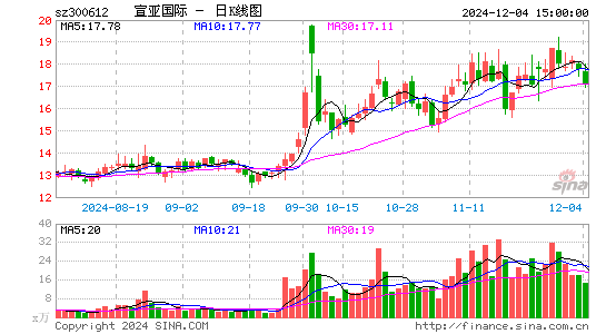 宣亚国际