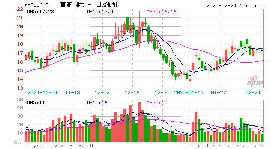 宣亚国际