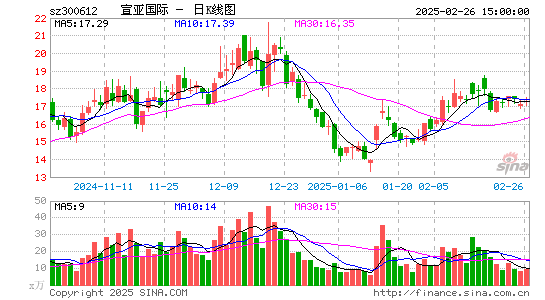 宣亚国际