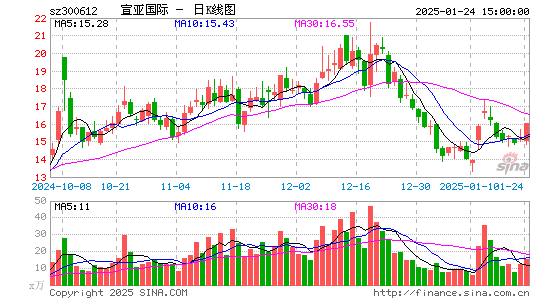 宣亚国际