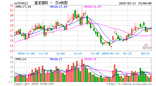 宣亚国际