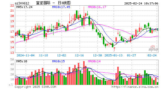 宣亚国际