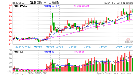 宣亚国际