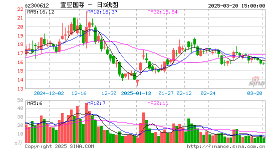 宣亚国际