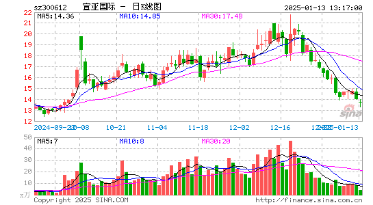 宣亚国际