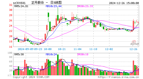 正丹股份