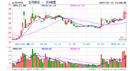 正丹股份