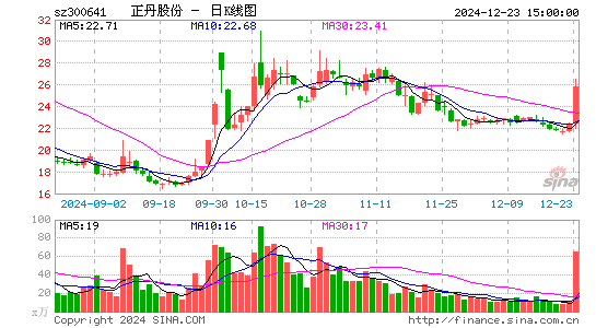 正丹股份