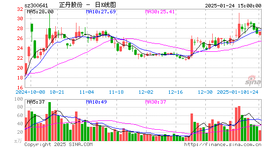 正丹股份